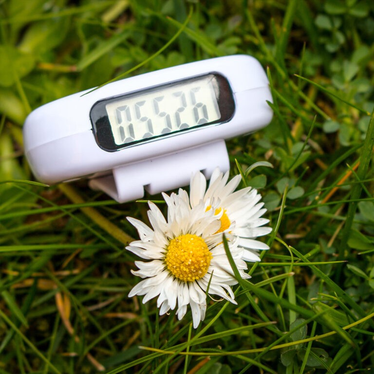 Branded Pedometer