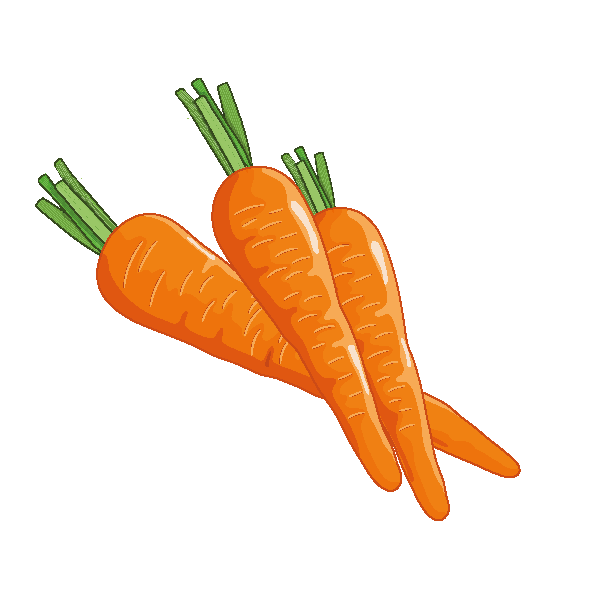 Carrot Seed Packets