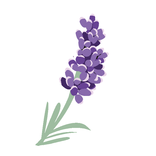 Lavender Seed Packets