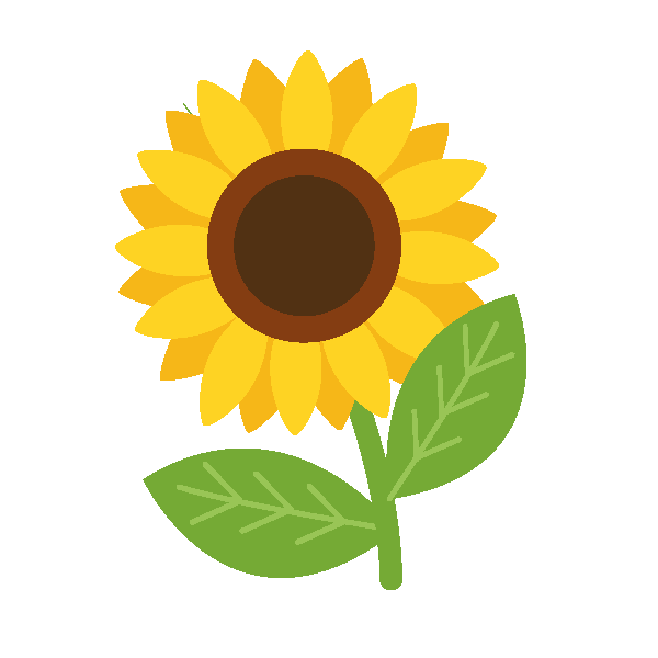 Sunflower Seed Packets