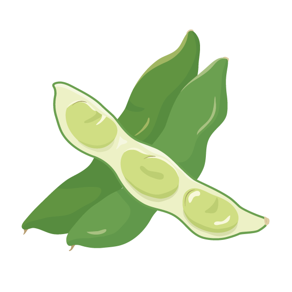 Broad Beans