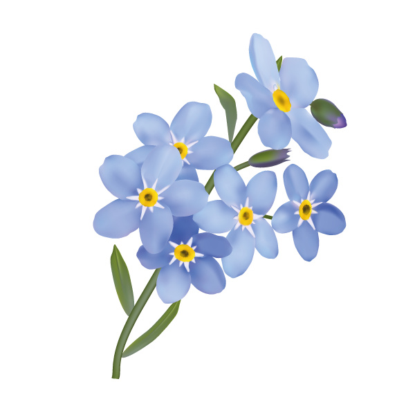 Forget Me Not