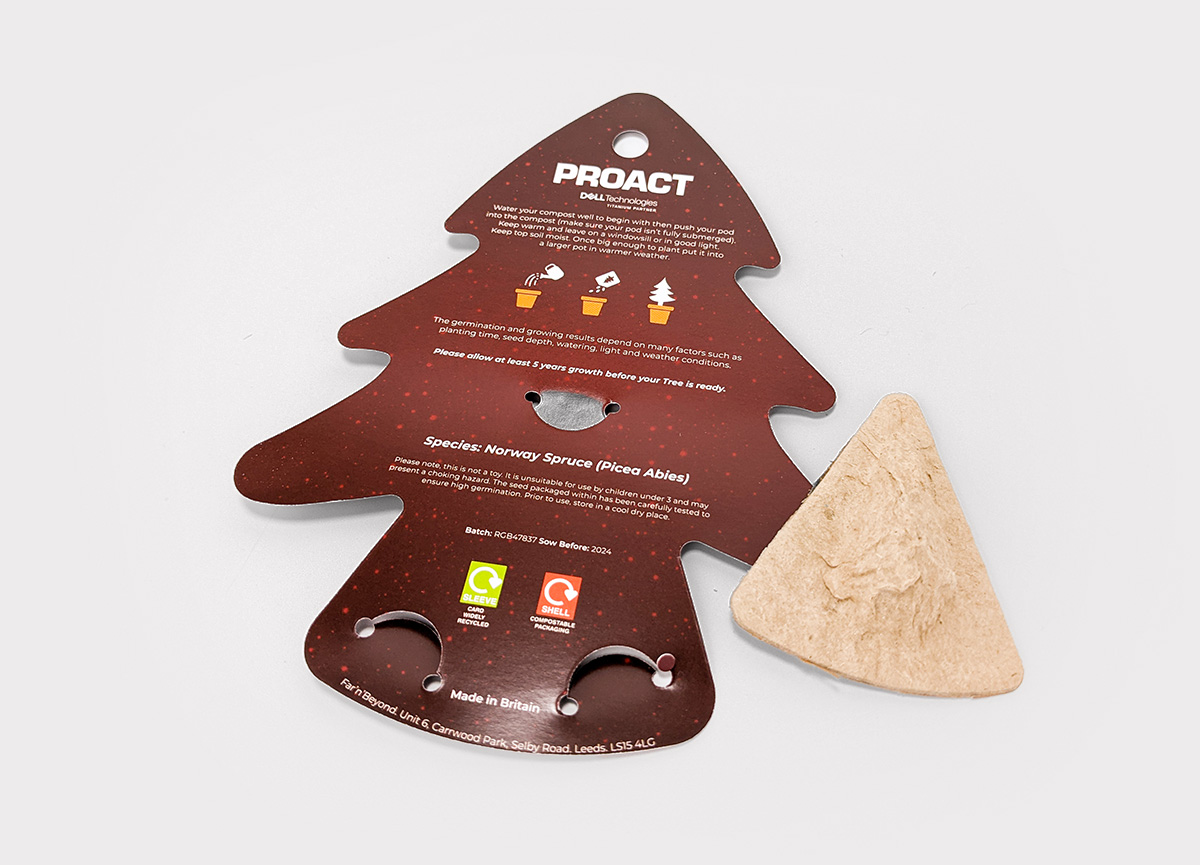 Grow Your Own Christmas Tree Seed Pods, back details displayed
