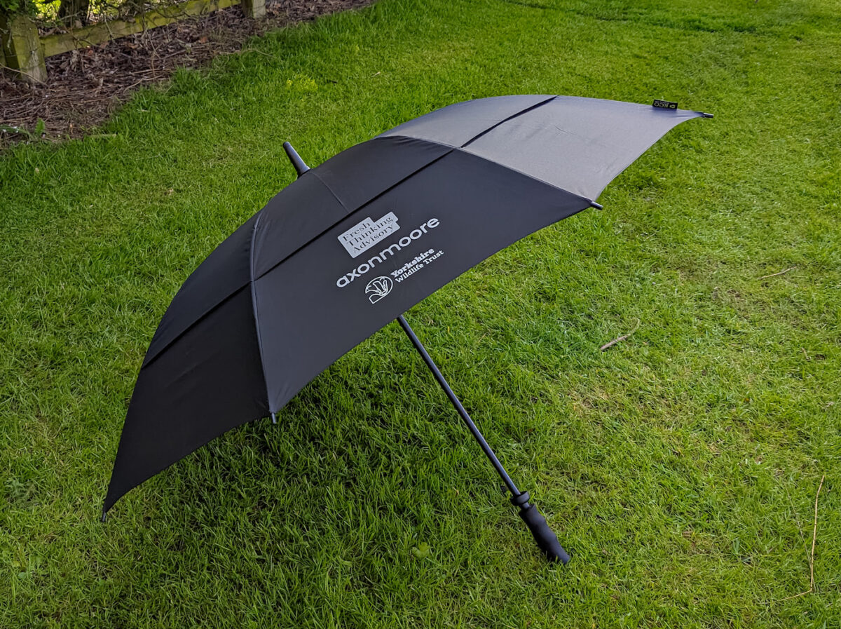 eco-friendly umbrella resting on the grass