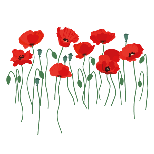 Poppies