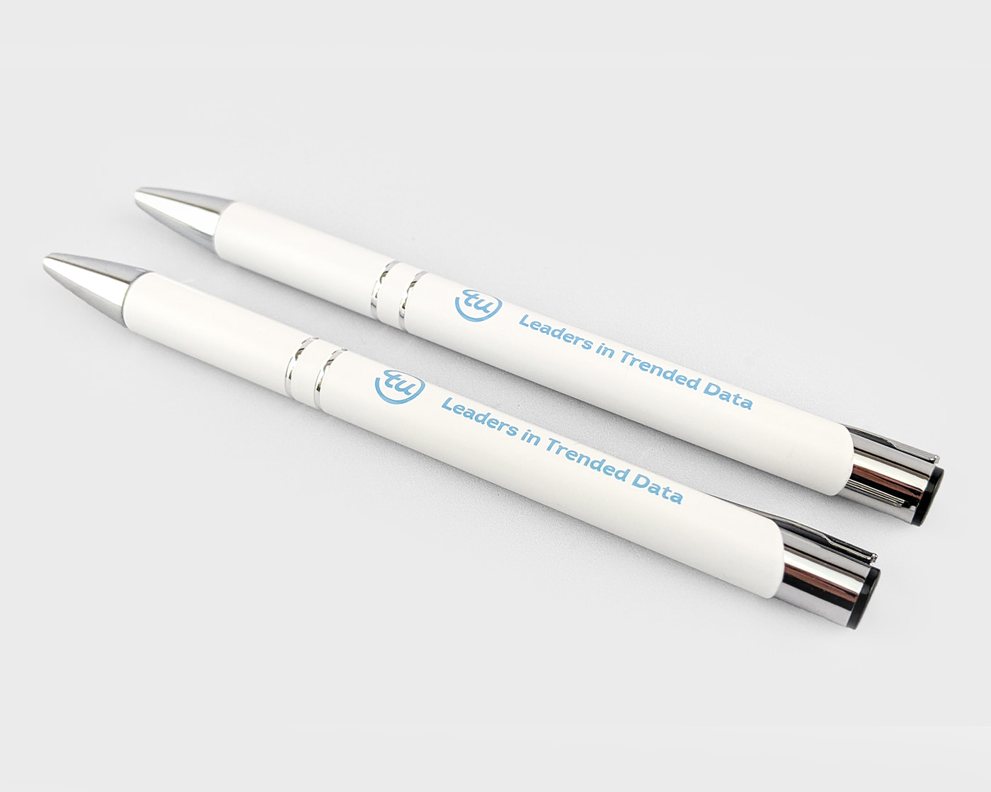 Photo of Racoon Metal Pen